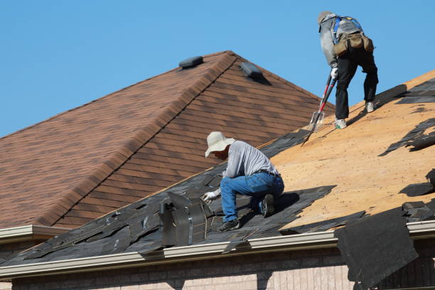 Best Asphalt Shingles Roofing  in Desert Hills, AZ