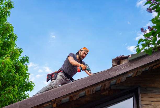 Best Gutter Installation and Repair  in Desert Hills, AZ